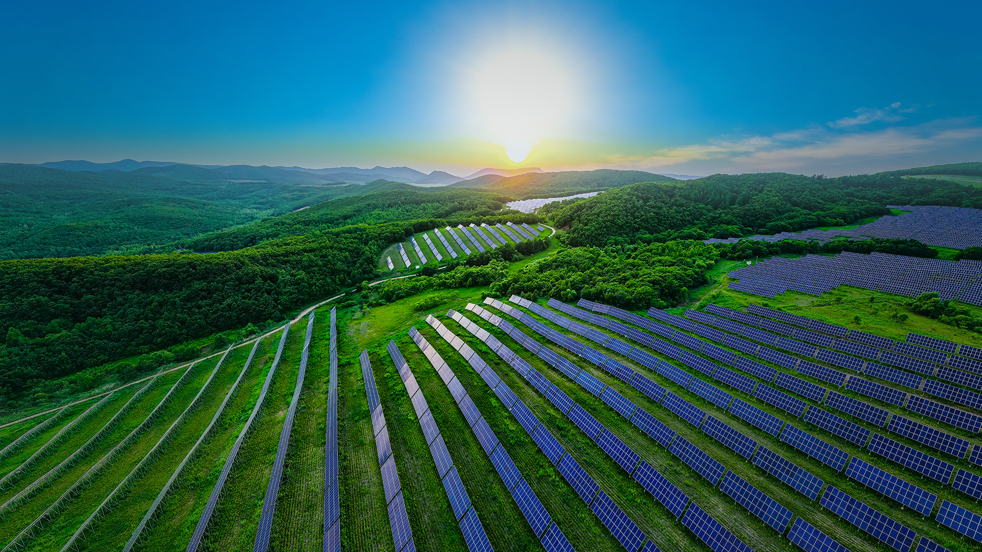 聆风智慧售电平台