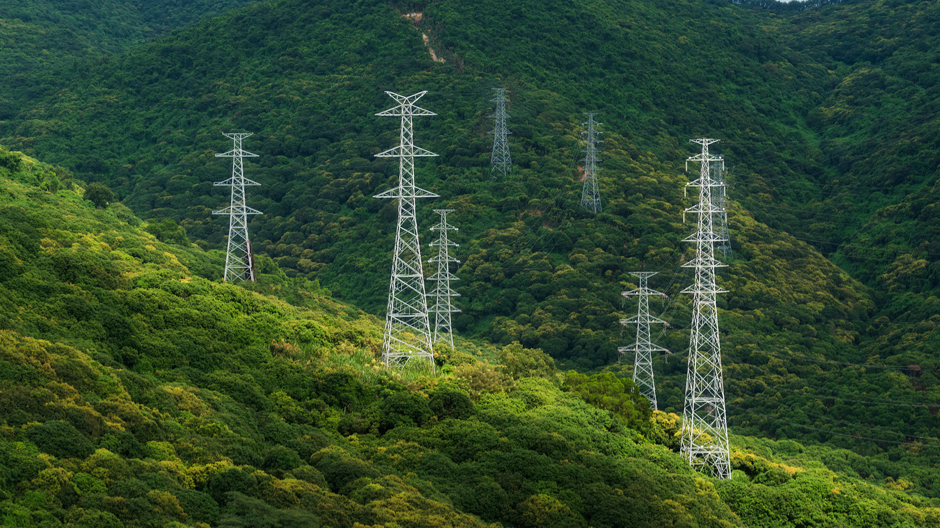 聆风电力交易平台